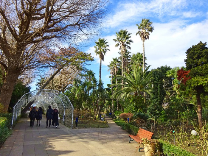 04 Enoshima Samuel Cocking garden