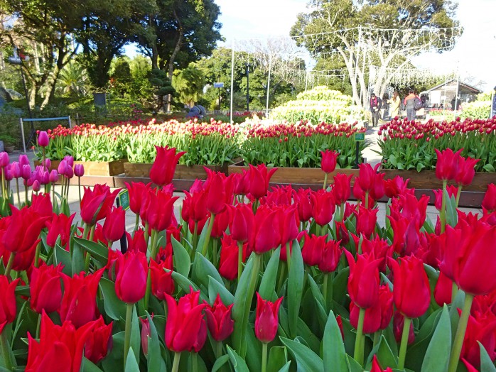 05 Enoshima Samuel Cocking garden