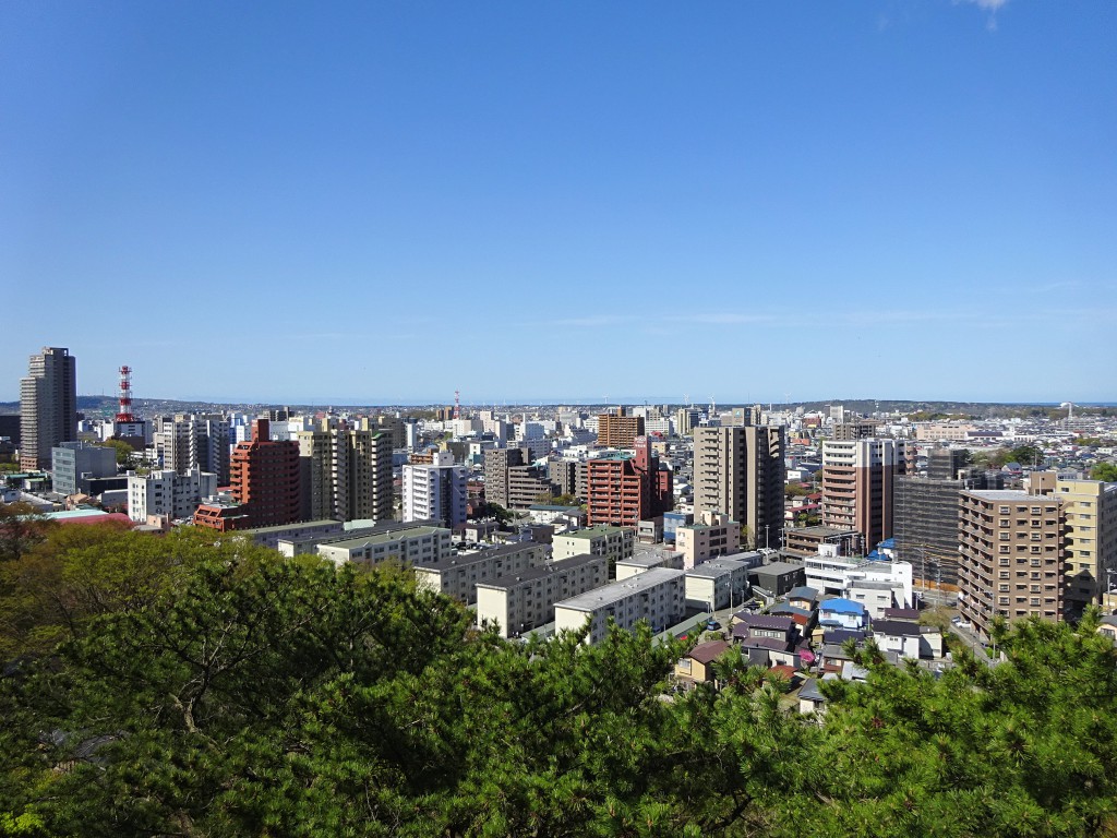 Akita Beauty who live in castle town of Kubota Castle | The Association